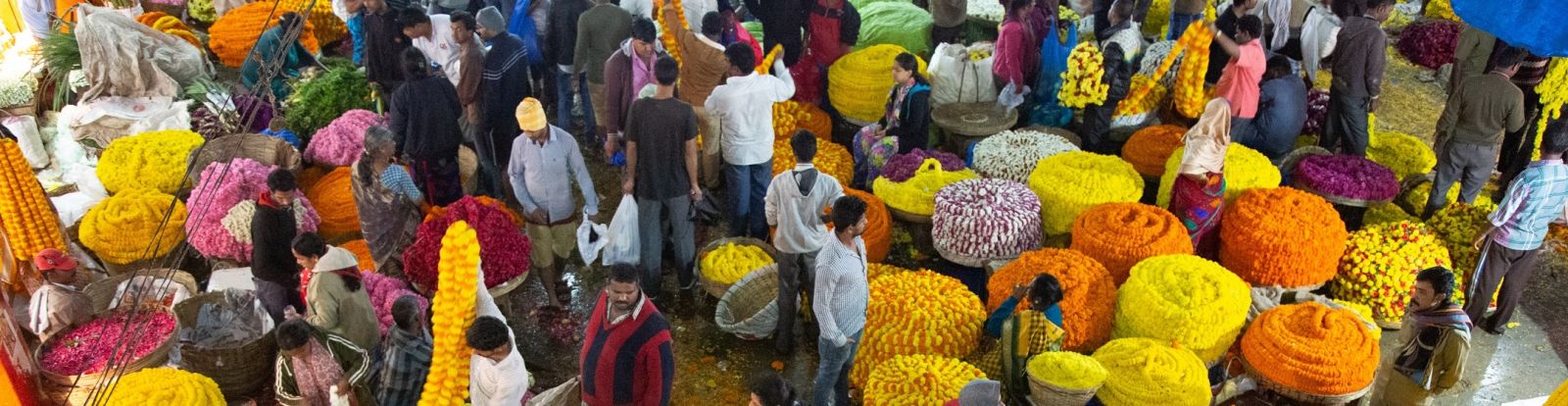 Image of Indian Market, Copyright Francis Minien