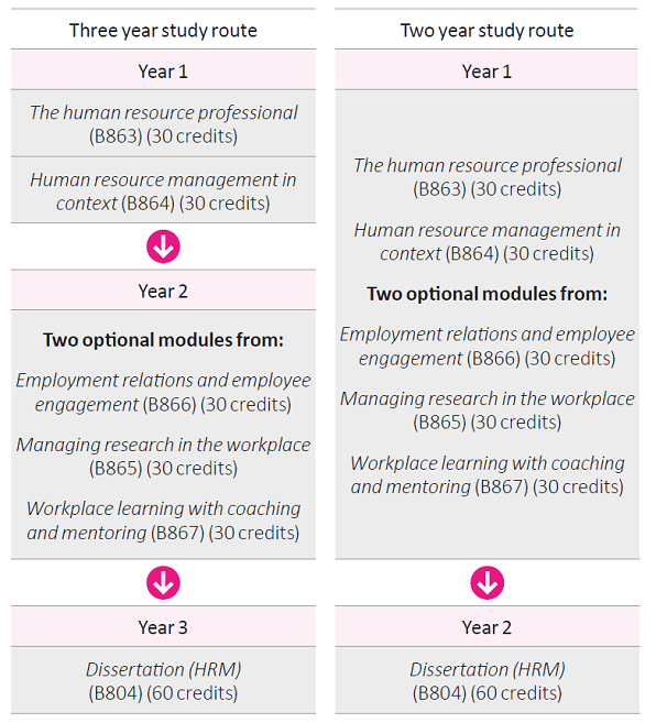 Image of study routes through the MSc in Human Resources Management qualification