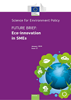 Cover of Eco-innovation in SMEs